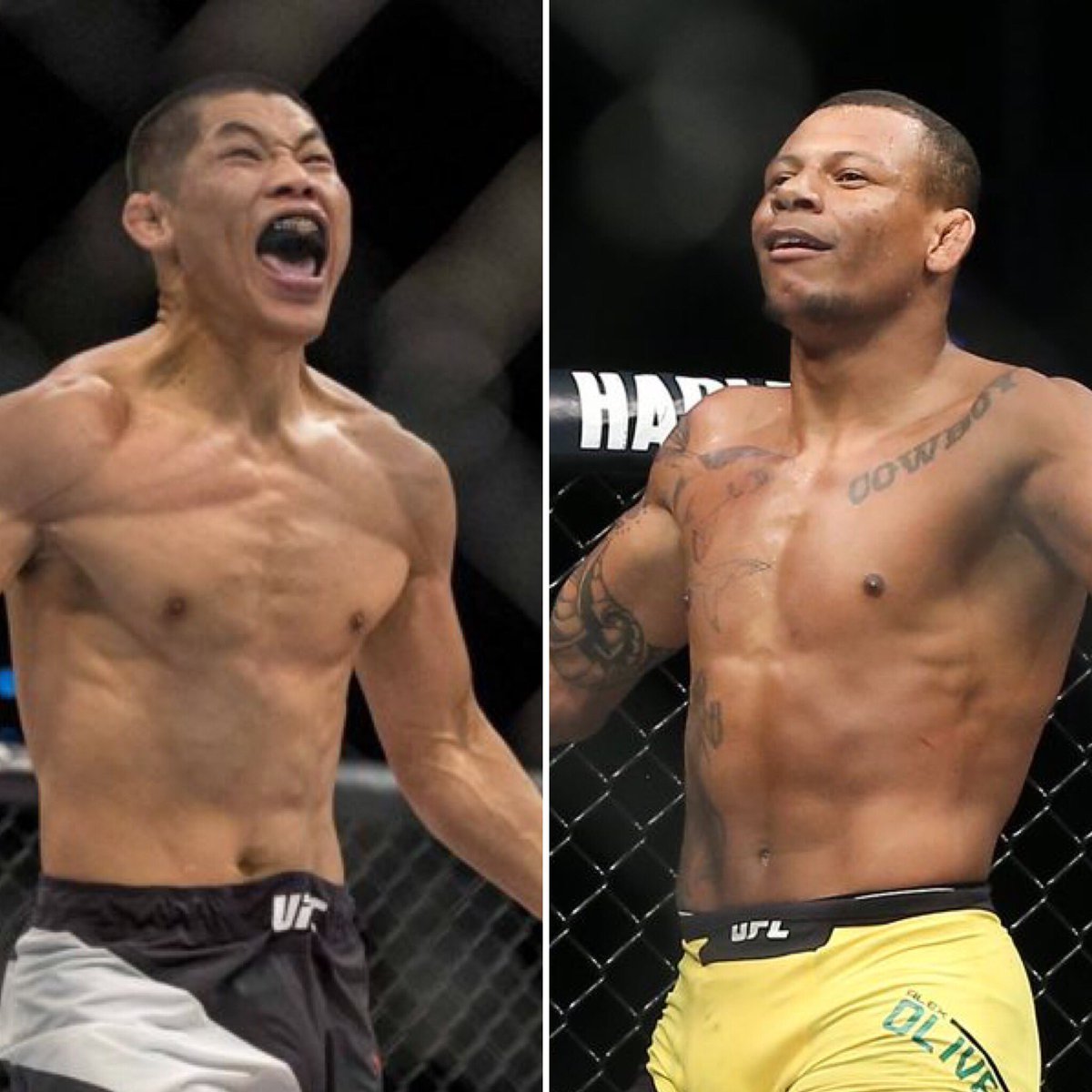 vendelmartinez's tweet photo. What a matchup! Li “The Leech” Jingliang 🇨🇳 will face Alex “Cowboy” Oliveira 🇧🇷 at #UFC on #ESPN 3 in what is sure to be a “Fight of the Night” candidate! #lijingliang #jingliangli #alexcowboy #cowboyoliveira #ufconespn3 #ufcfortlauderdale #ufcfight #welterweight #theleech https://t.co/RtbzawUZSL