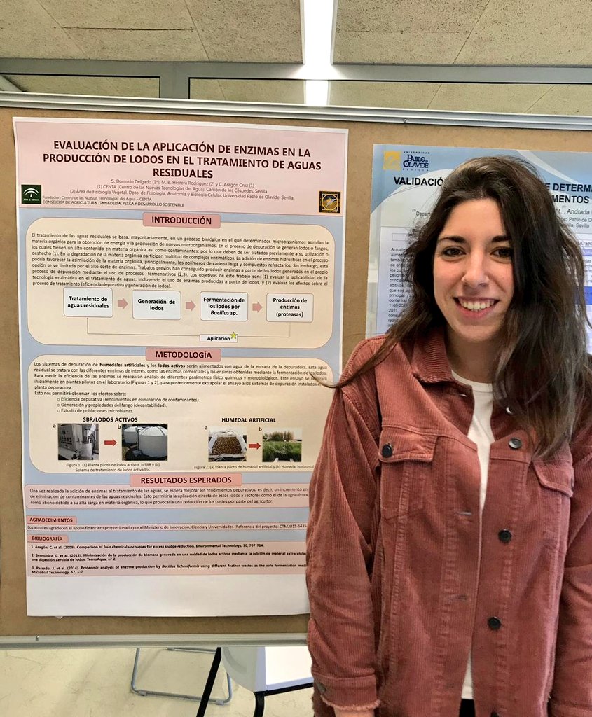 AMAYA - CENTA tweet media