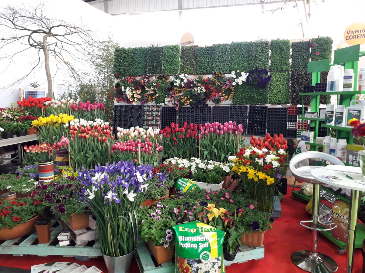 guiaverdecom's tweet photo. Un paseo por la @MostraCultivoBM que se ha inaugurado hoy. Ya hemos visto a #acuBam @Iberflora #Coplant #ViverosNilo #ViverosJuanPeixoto #Galipllant #Brotes #Vidaplant .....entre otros. Tienes todas las imágenes en https://t.co/O4KAe3ghkB #Tomiño #MostradeCultivos #BaixoMiño https://t.co/3iJYYAK2BO