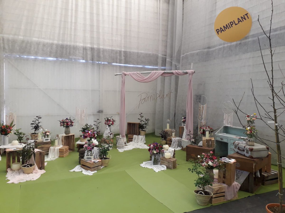 guiaverdecom's tweet photo. Un paseo por la @MostraCultivoBM que se ha inaugurado hoy. Ya hemos visto a #acuBam @Iberflora #Coplant #ViverosNilo #ViverosJuanPeixoto #Galipllant #Brotes #Vidaplant .....entre otros. Tienes todas las imágenes en https://t.co/O4KAe3ghkB #Tomiño #MostradeCultivos #BaixoMiño https://t.co/3iJYYAK2BO
