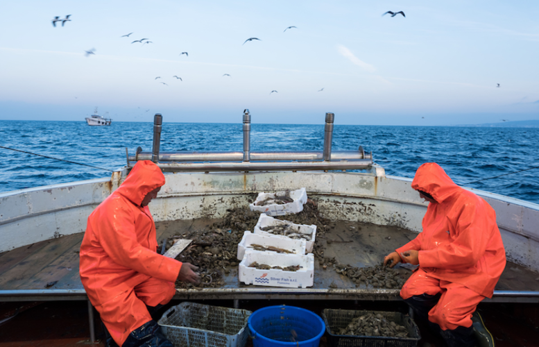 italiasquisita's tweet photo. Ora sappiamo cosa si nasconde dietro un'insalata di pesce Michelin!
Anteprima dell'articolo di Italiasquisita 33 in uscita il 23 marzo.
https://t.co/363torYTZ1 https://t.co/EaNidBiQA0
