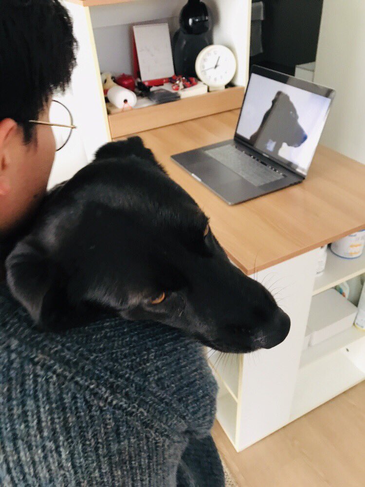 서로 삼촌 <a href="/seorotheintern/">서로</a> 이 찍어주신 사진 파일을 받아보았다. 이것도 기념이라 셋이 같이 봤는데 — 포카야 맘에 드니? 언니랑 오빠는 한 장 한 장 다 멋있고 마음에 들어...! (타래로 몇 장 공개할게요🤗)