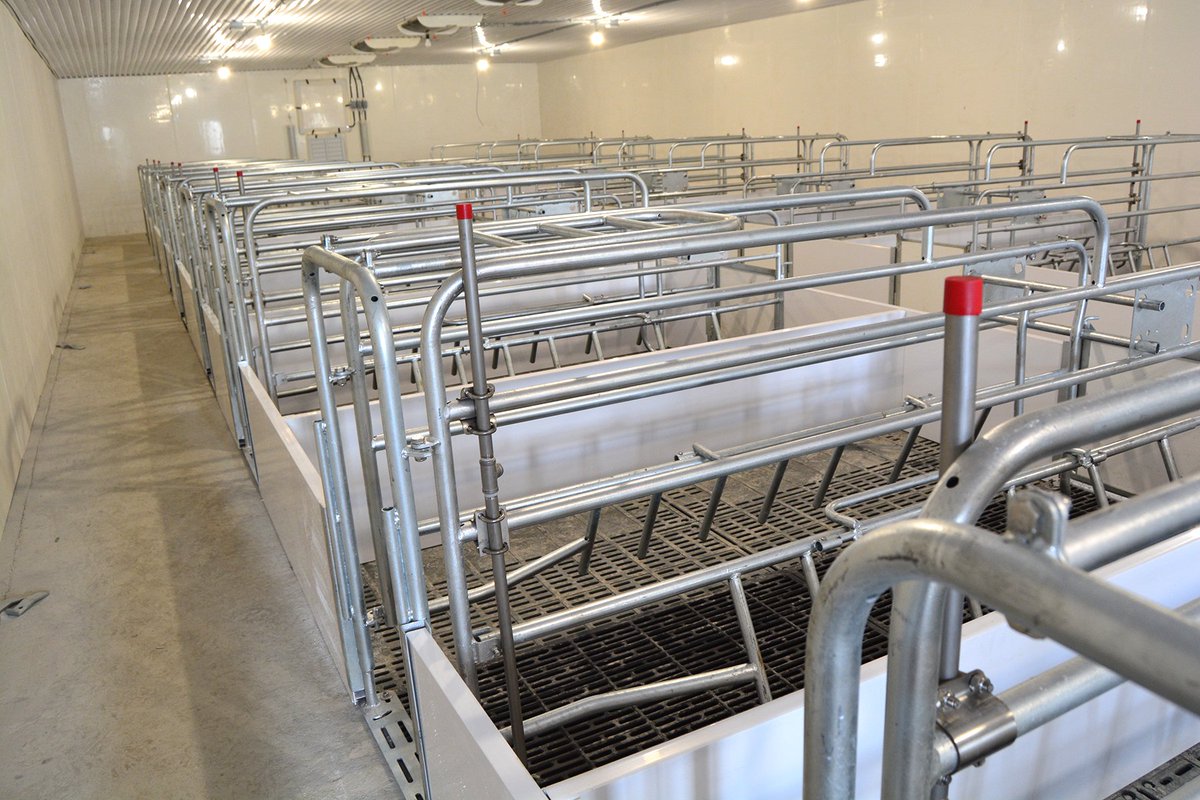SowChoice's tweet photo. The Ag Marketing team got to visit a new pig barn being constructed in Brinston. Beautiful facility coming along nicely! Thanks so much to @GTibben for the tour!
Can't wait to see it once it's done. Check out the shiny, new farrowing room we saw!
#FarrowingCrates #FarrowingFloor https://t.co/uEEL42pkmZ