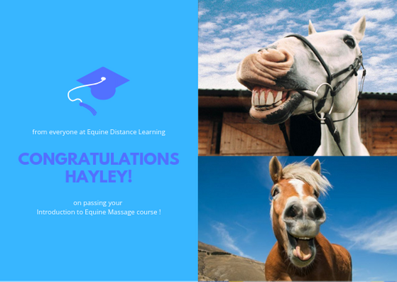 equinedl's tweet photo. So many successful students this week!  Congratulations to all our clever students on passing their courses!  #equine #horses #BHS #horsecourses #equineknowledge https://t.co/ds8Dbub2jh