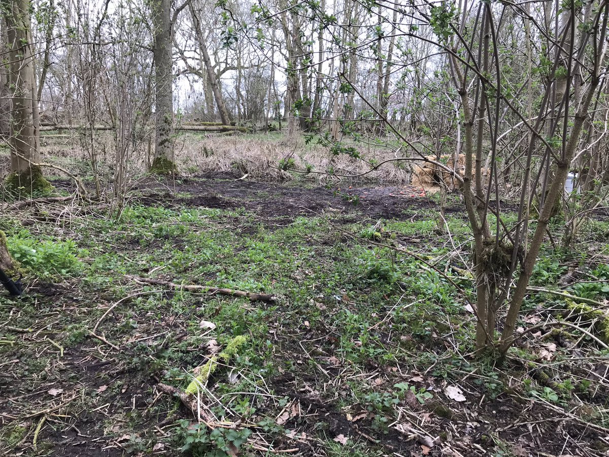 EnvAgencyAnglia tweet media