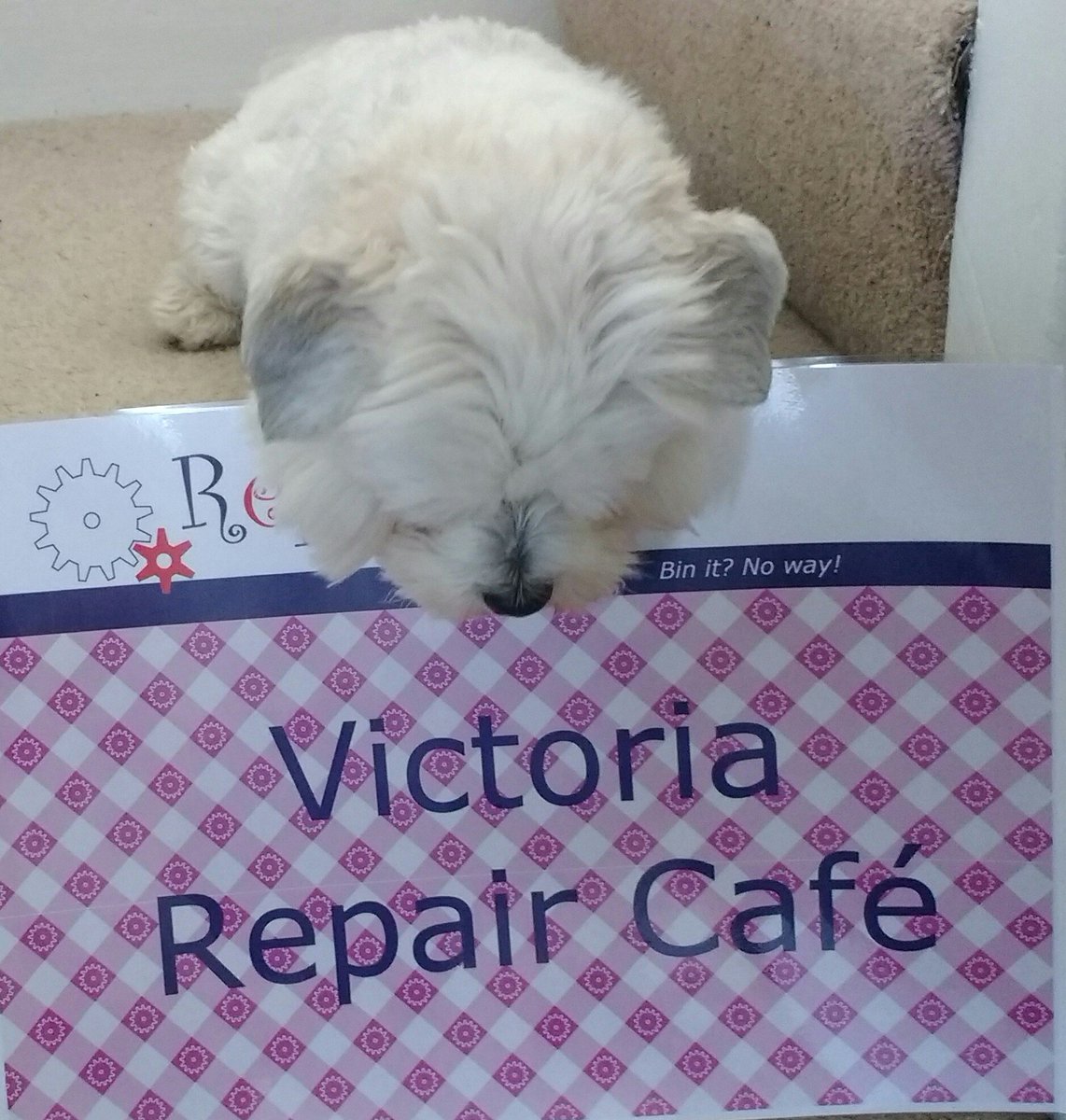 VicRepairCafe's tweet photo. Come along to our first repair café! On Saturday 23rd March 10am - 2pm, bring something to repair or come and see if you would like to volunteer. @holyspiritwb #repair https://t.co/6Z58Q7hnAe