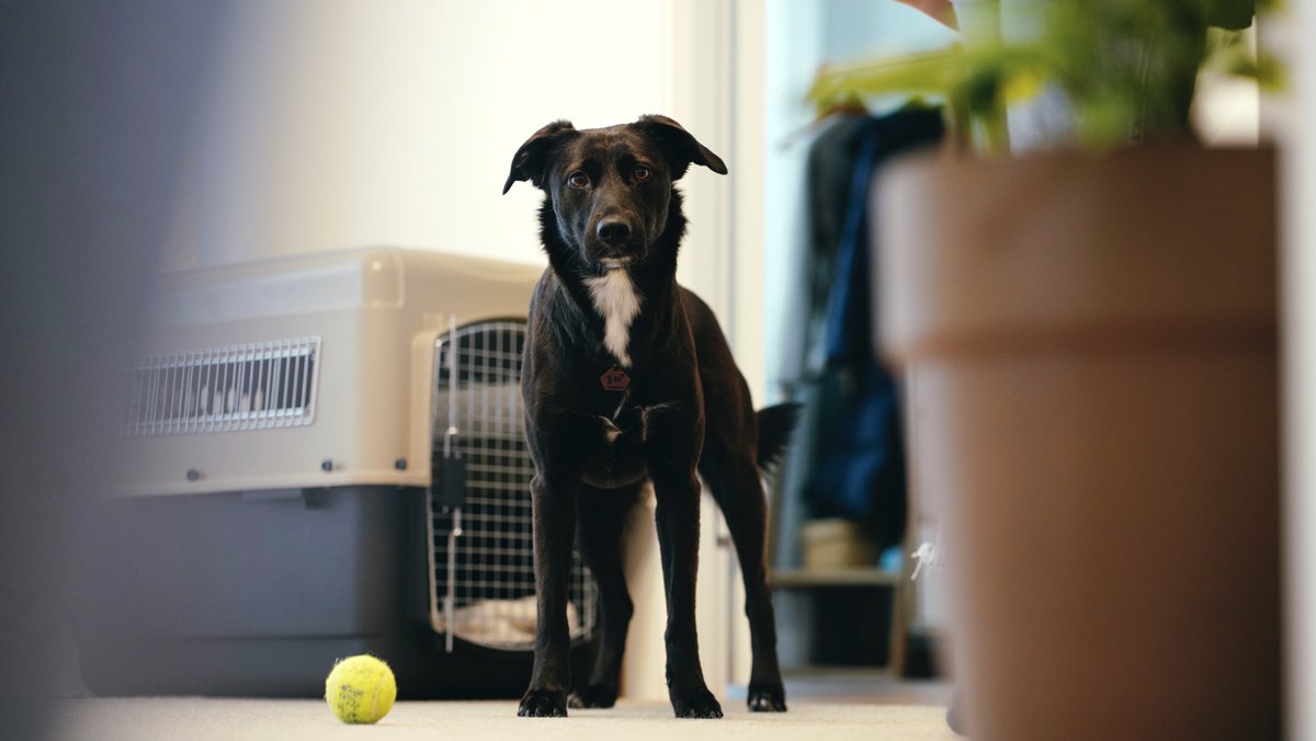사진 찍고 후기글에도 적었었지만, 분명 한 공간에 있는데 시간이 지날수록 작가님의 존재가 공기처럼(...) 흐릿해졌던 신기한 경험...(!!!) 예민한 편인 포카도 마음이 놓였는지 잘 쉬기도 했었다. 사진이 다 마음에 들어서... ㅠㅠ 계속 올리게 되네요.... (사진. <a href="/seorotheintern/">서로</a> )
