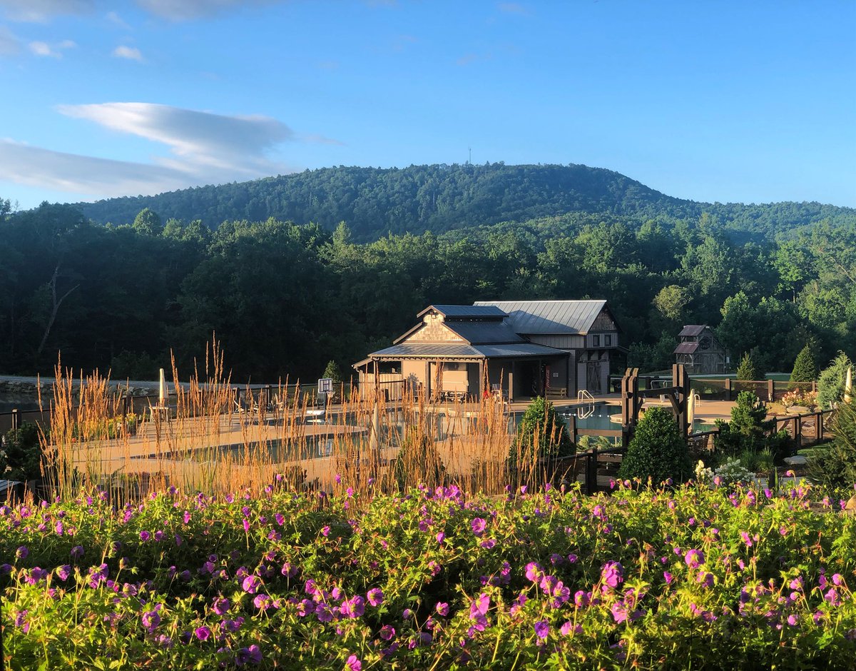 Carolina Point tweet media