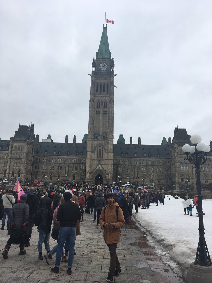 Phosphorus Hub 🌱 tweet media