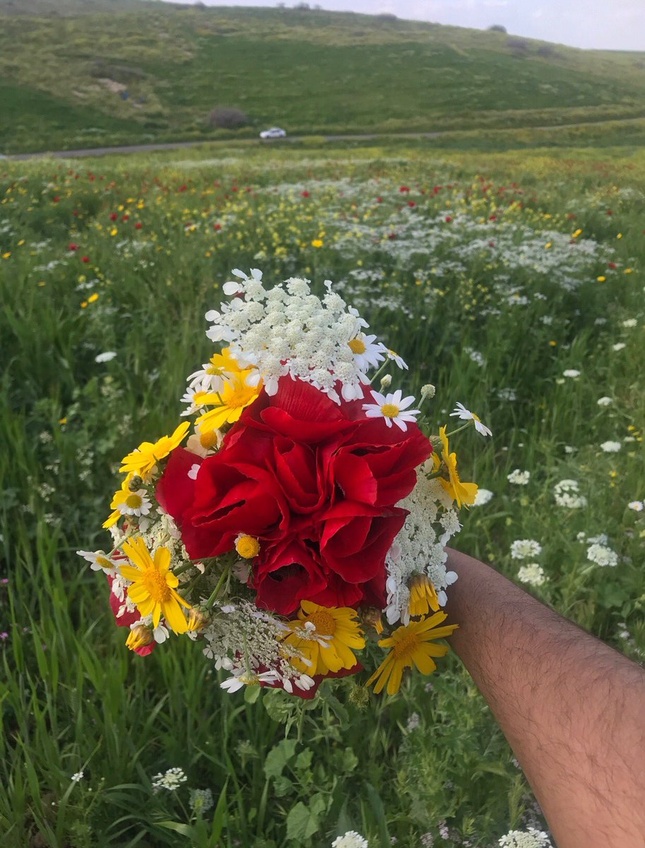 abuzneimah's tweet photo. لاشيء اجمل من ربيع الاردن . متع روحك بالطبيعه الخلابه .🌹🌺🥀🌹💐.
#ادعم_سياحه_الاردن https://t.co/IQrCeGy8Bb