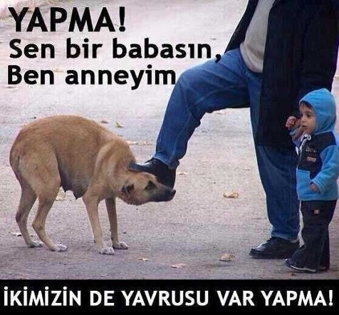 İnsanlığın özeti..