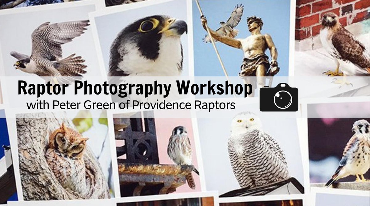 RIAudubon's tweet photo. Learn basic #photography lessons, post-processing tips, birding ethics &amp; more regarding photography of #birdsofprey with our friend @pvdraptors! March 30, 2019 @ the Audubon Nature Center and Aquarium, #BristolRI  #thingstodoRI

Register here: https://t.co/iHfTuE04z4 https://t.co/I7frkSJULO