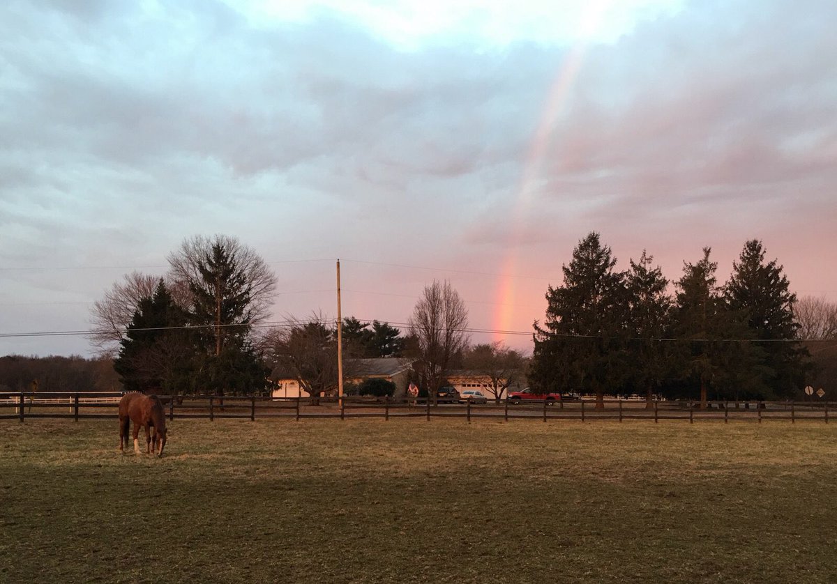 Our friend Fleet Valid has found some sweet grass at the end of the rainbow! Just in time for St.Patrick’s Day on Sunday!🌈🍀❤️🐴 #StPatricksDay2019 #thoroughbred #horserescue #secondcall