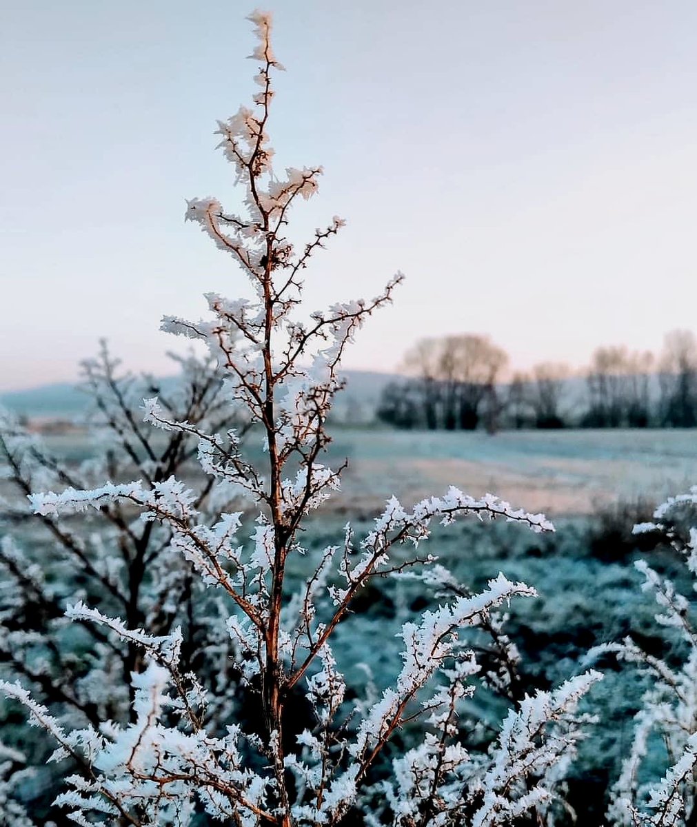 Key2LE's tweet photo. Stay warm this Sunday #TeamBlackBerry!
#ShotOnKEY2 📸 @maravillara ❄️
#electronics #chile #android https://t.co/rTLE0tdBiU