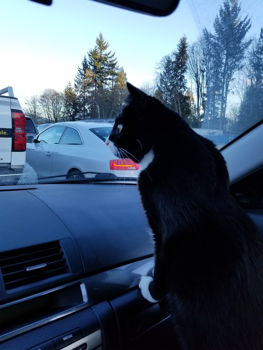 walterbigcat's tweet photo. It's a big world out there. https://t.co/AelaJACiVG