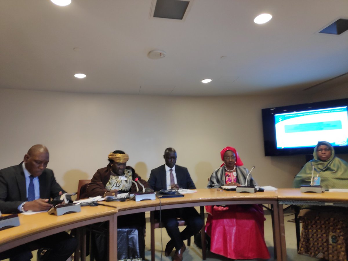 MaliAfriyan's tweet photo. Très bon plaidoyer du @GouvMali pour les femmes et les jeunes à la #CSW63 Bravo aux #MPFE, de l'élevage et la pêche  du #Mali. Merci à @mabinguengom1 et à @MbarangaUN aux côtés du #Mali #PutYoungPeopleFirst @JosianeYaguibou @PresidenceMali @AminaJMohammed @HafizouBoncana https://t.co/TJogUJqwq9
