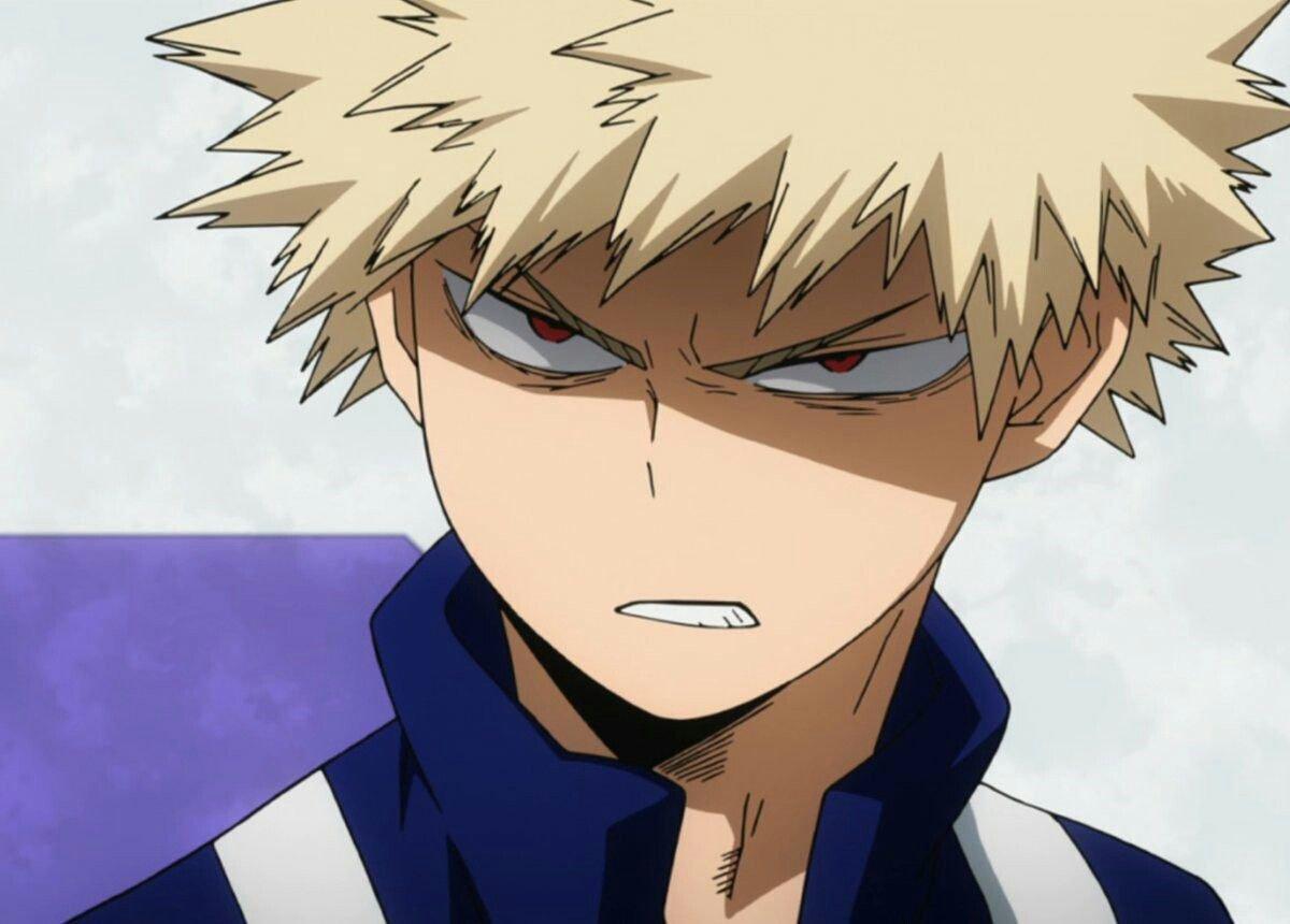 Bakugou Katsuki Angry Pomeranian Anime - canvas-eo