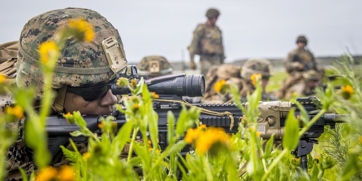 USMC's tweet photo. Flower Power
 
Lance Cpl. Miles Johnson, with the @11thmeu, provides security during an amphibious assault mission at @MCIWPendletonCA. https://t.co/AWBpeTYO33