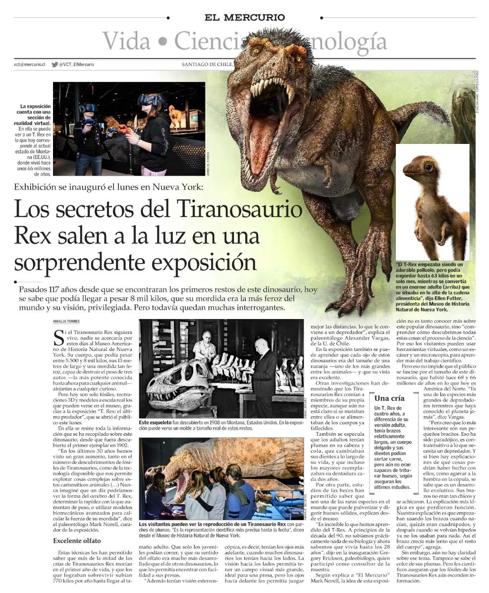 Moda Esperanzado Abultar VCT El Mercurio on Twitter: "A 117 años del descubrimiento de su primer  fósil, el Tiranosaurio Rex protagoniza una de las más sorprendentes  exposiciones del @AMNH. Esta recopila toda la información que