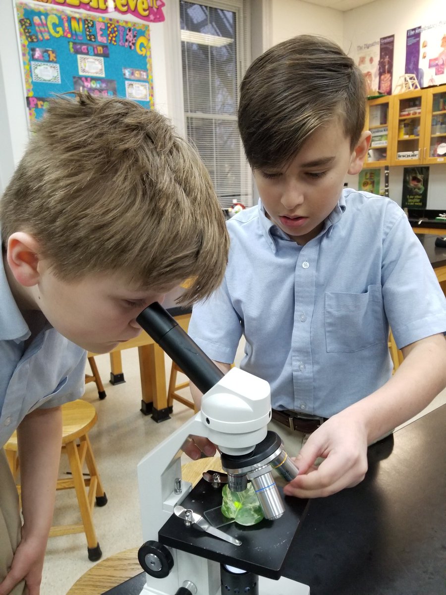 AcademySCI's tweet photo. The Sixth Class scientists are discovering plants and photosynthesis.  Their challenge was to find and count leaf stomata, which are special pores in the epidermal layer that allow passage of materials. @ash1818 https://t.co/InS1RygN69