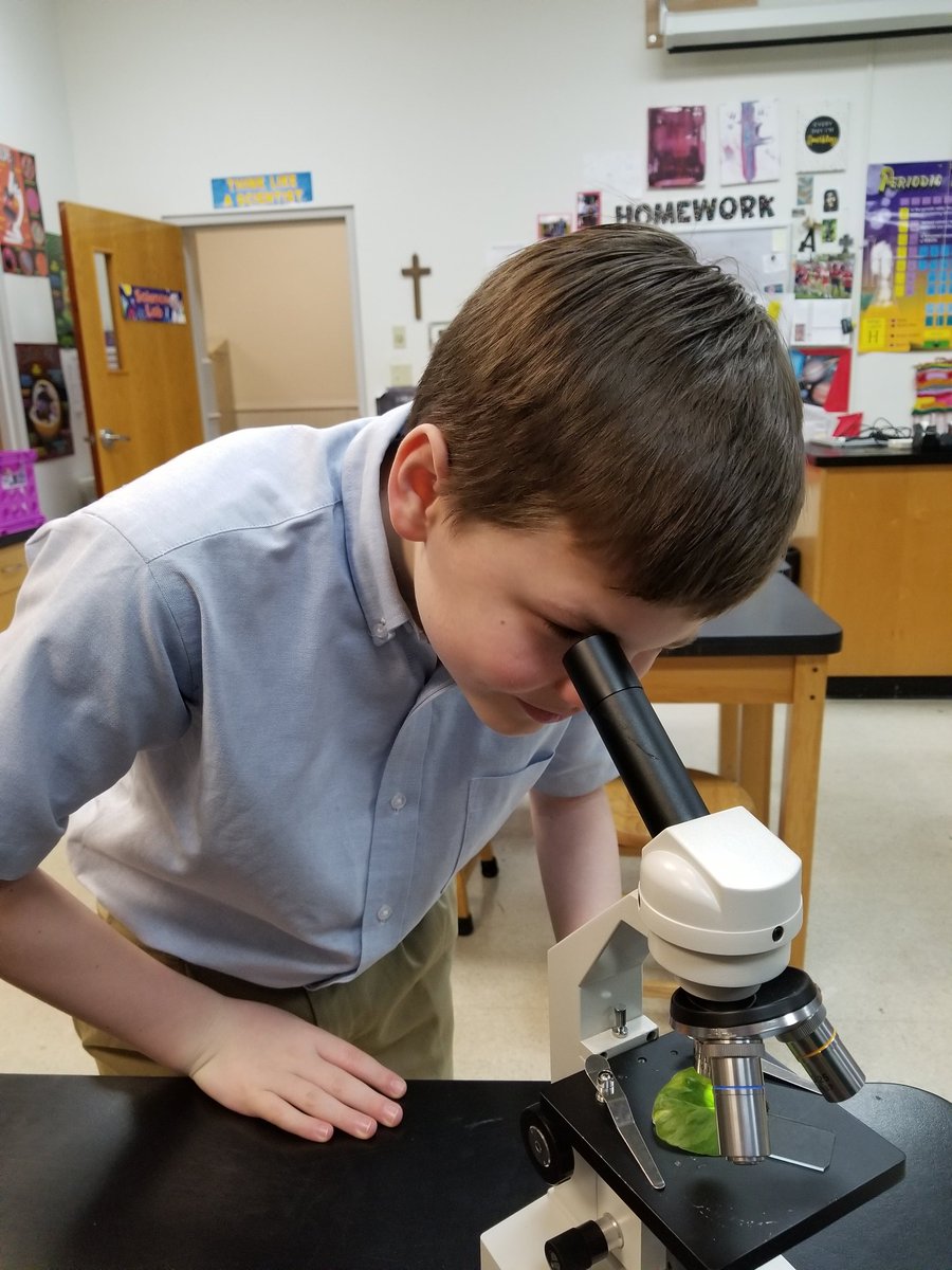 AcademySCI's tweet photo. The Sixth Class scientists are discovering plants and photosynthesis.  Their challenge was to find and count leaf stomata, which are special pores in the epidermal layer that allow passage of materials. @ash1818 https://t.co/InS1RygN69