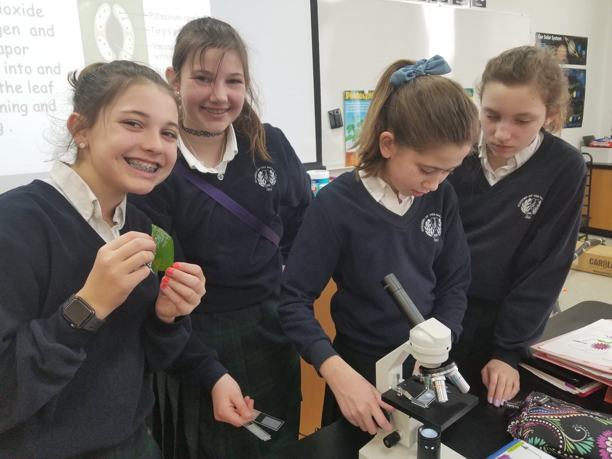 AcademySCI's tweet photo. The Sixth Class scientists are discovering plants and photosynthesis.  Their challenge was to find and count leaf stomata, which are special pores in the epidermal layer that allow passage of materials. @ash1818 https://t.co/InS1RygN69