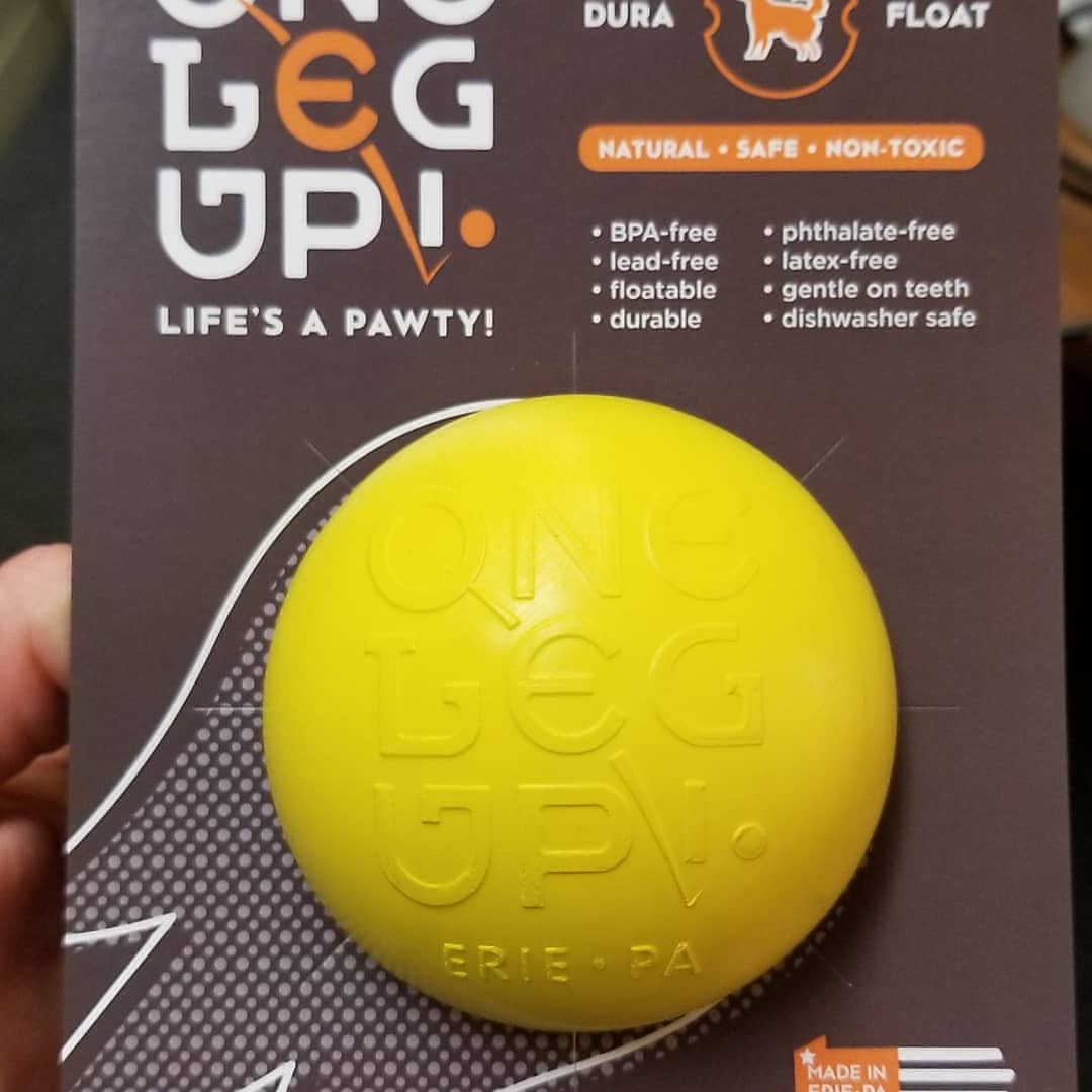 JonMeighan's tweet photo. One Leg Up is our new pet product brand. We created a great first product using 3D printed prototypes created by PSU Behrend Innovation Commons lab students. The real product that will go on sale next week!
https://t.co/ySBuJ6ONeQ #customrubberparts #eriepa #madeinusa #dogtoys https://t.co/HQm2F10c4y