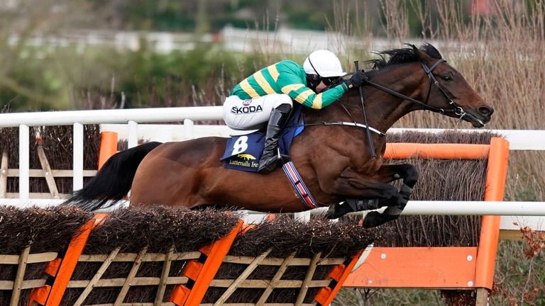 Sleep well you lovely horse!! #SirEric 😢