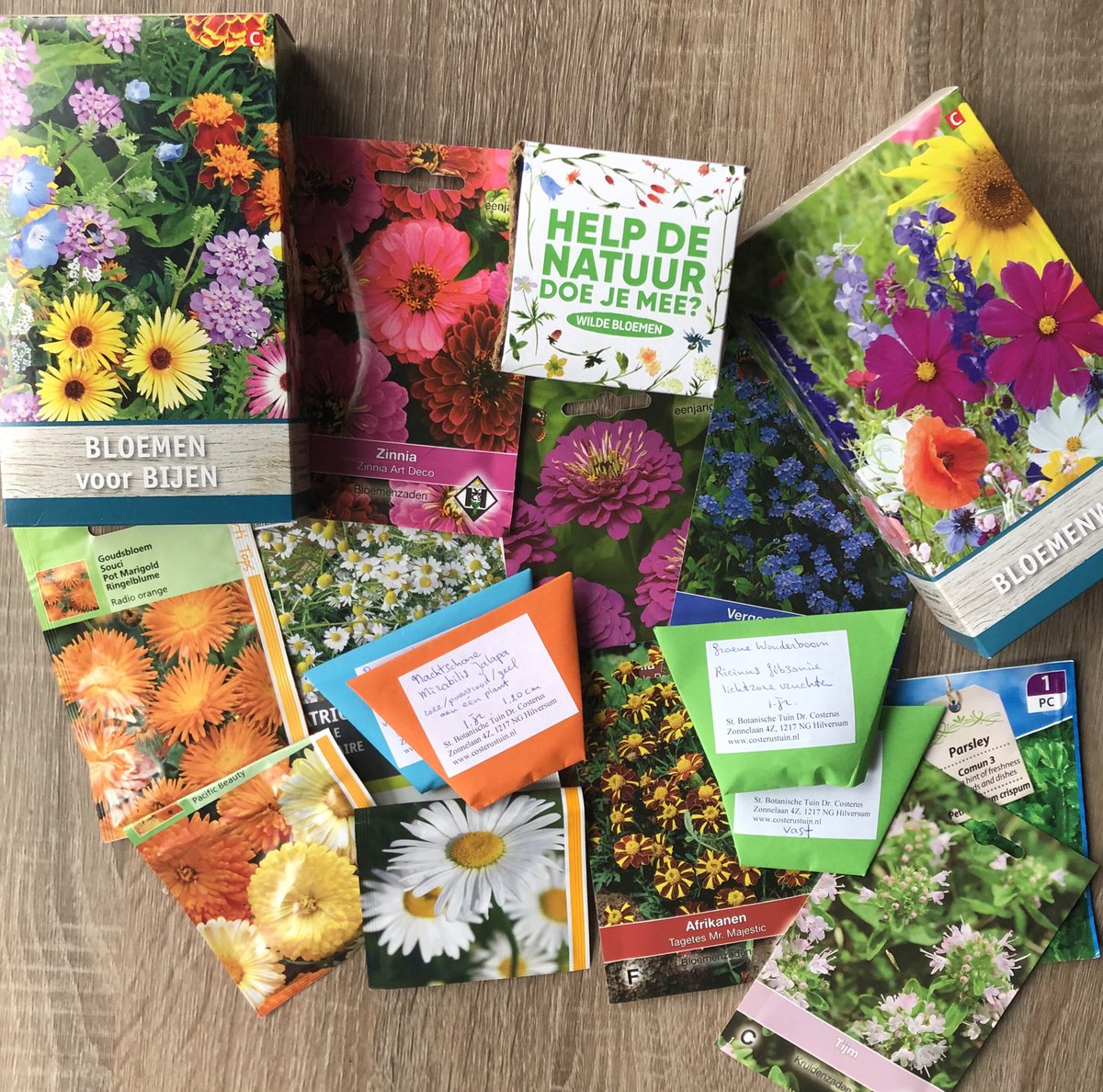 elenatoma1982's tweet photo. I can’t wait for better weather, I am so excited to plant new seeds in my garden 🐞🦋🐝 #bijnalente #helpdenatuur #hortusbotanicus #wildflowers https://t.co/Z16zrYU5LD