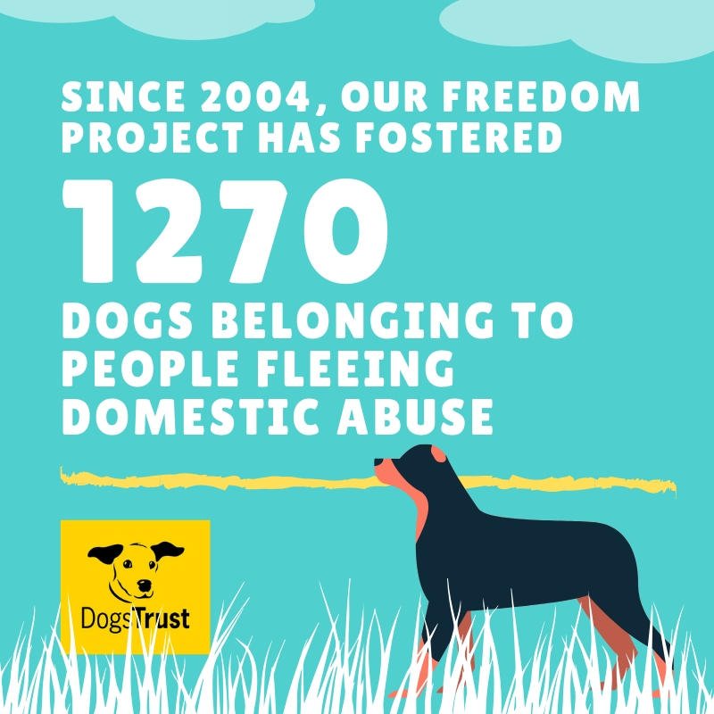 Fear of leaving a pet in a dangerous situation can make it impossible to flee #domesticabuse. Which is why our #FreedomProject exists; since it began we've looked after hundreds of dogs so their owners could get to safety. Find out more about our work: moretodogstrust.org.uk/freedom-project 💛