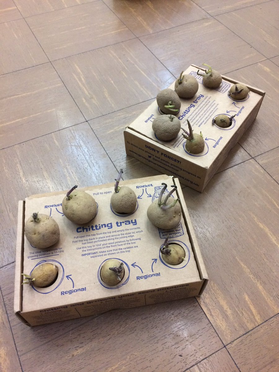 Runnymede Food tweet media