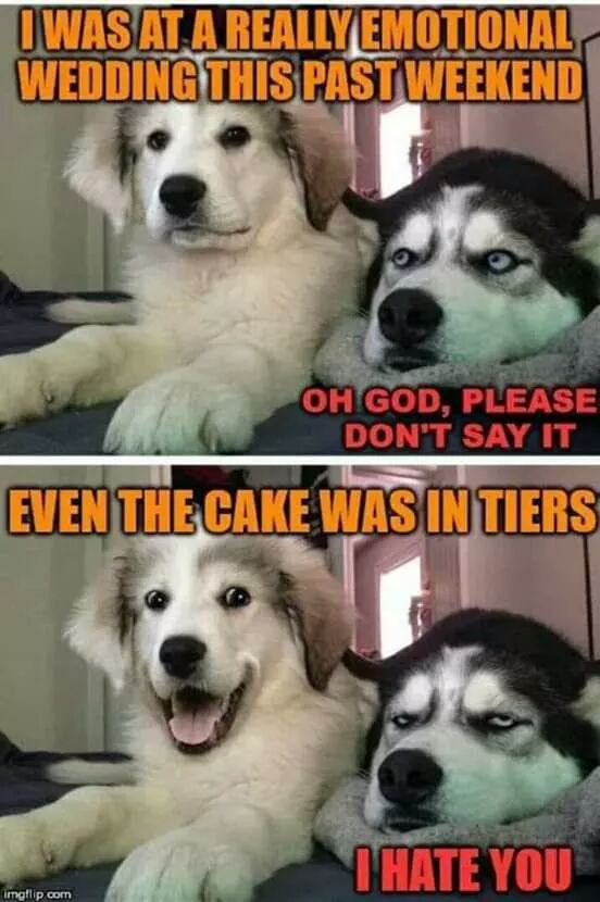 hsvb's tweet image. Happy Friday! 💖