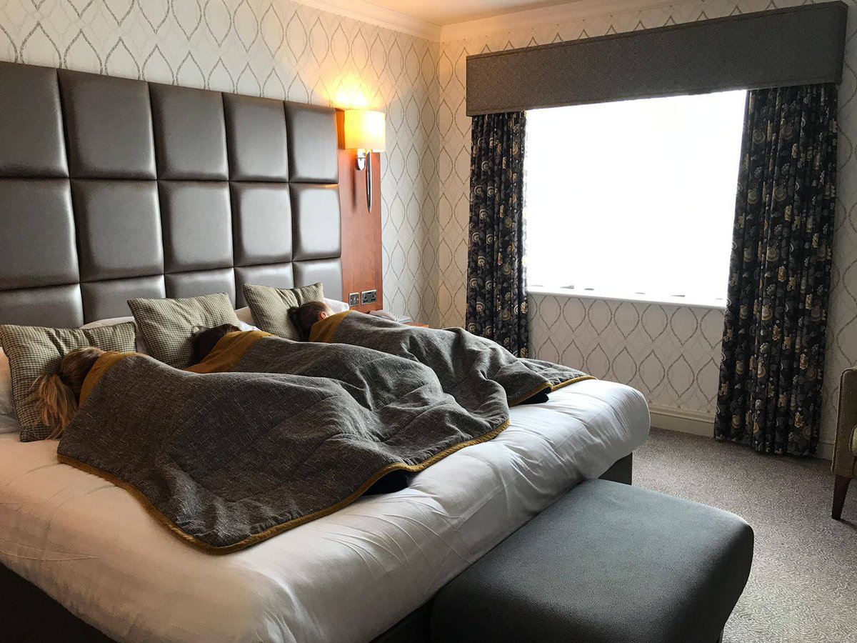 CAPTION THIS 😂 
Three in the bed and the little one said......
Happy #nationalsleepday !! 💤 
Give us your best caption on this...... 🛏 😴 
#beltonwoodshotel
#lincolnshirehotel
#threeinthebed
#captionthis