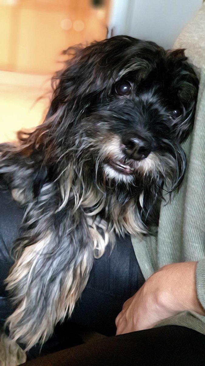 Piep Piep Piep, ich habe euch alle Lieb 😘 liebe Grüße und ein schönes Wochenende ♥️