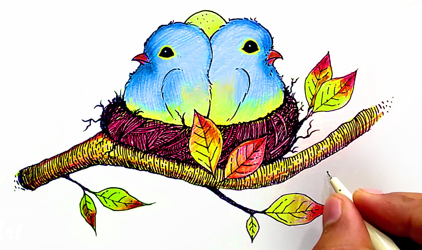bird nest drawing | Nest art, Bird drawings, Bird sketch