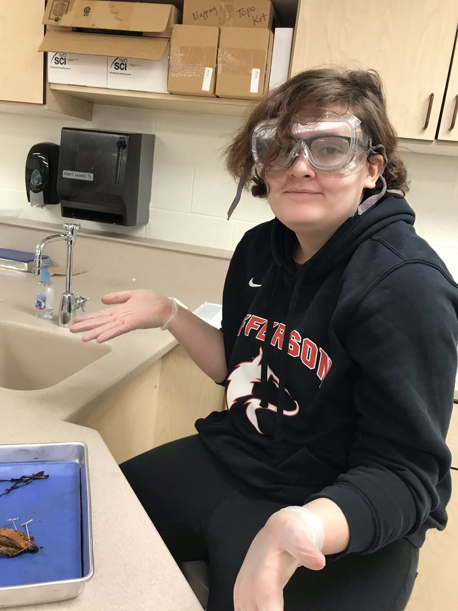 greenwaysclass's tweet photo. Lucky St. Patrick’s Day in Anatomy class. Two female grasshopper dissections with eggs. Science is awesome. @PageSciDept #WeAreLamphere https://t.co/yteY4v6KZz