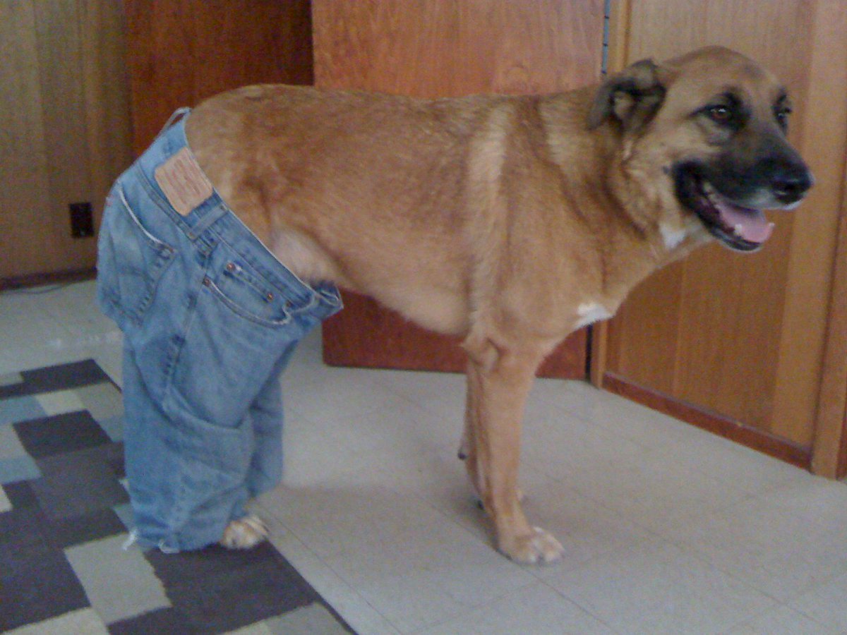 Jake Baldino on Twitter "It's a rough one today. Please, enjoy these