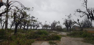 Voir l'image sur Twitter