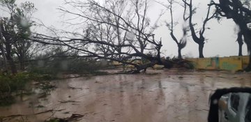 Voir l'image sur Twitter