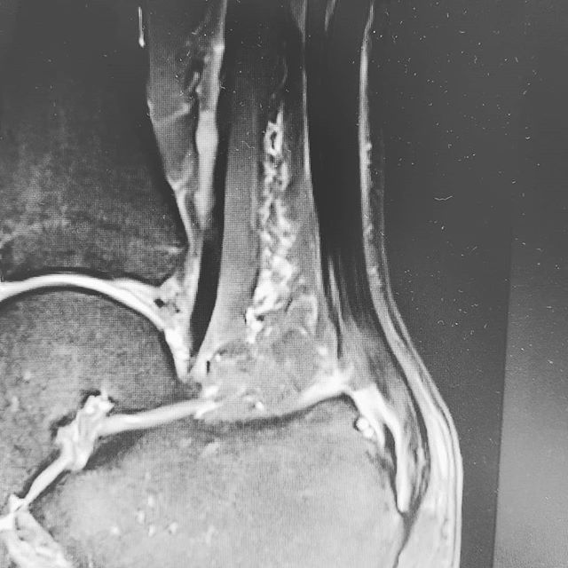 Dr Manel Ballester tweet media