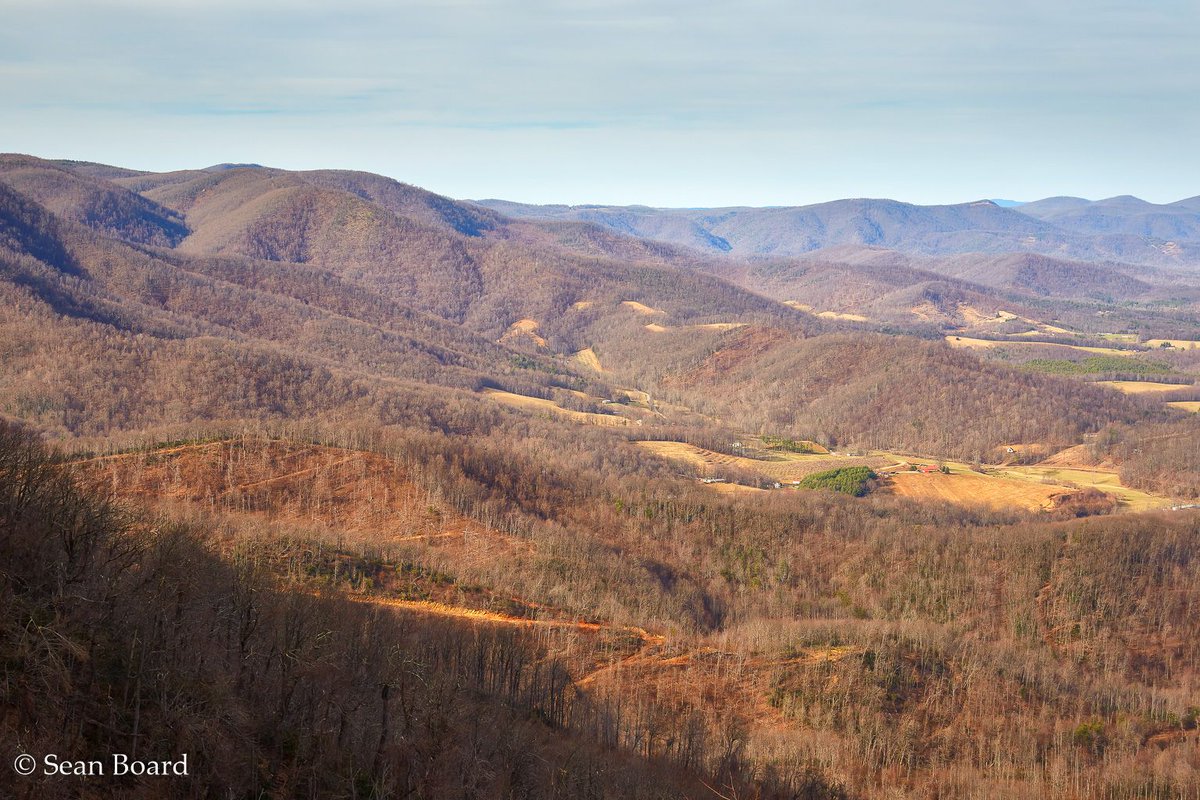 SeanBoard90's tweet photo. I'm finally getting around to posting an image from a couple of weeks ago.  I took this photo along the Blue Ridge escarpment near the border of North Carolina and Virginia.
#blueridge
#appalachians https://t.co/cl4Q4XZxSo