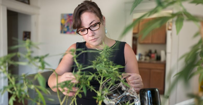 NationalMJNews's tweet photo. "Do you have any tips, tricks or suggestions to add?" https://t.co/CHyNAtlU4o #HomeGrown #Garden #Cannabis #Marijuana #TNMNews https://t.co/bPlNia20Iz