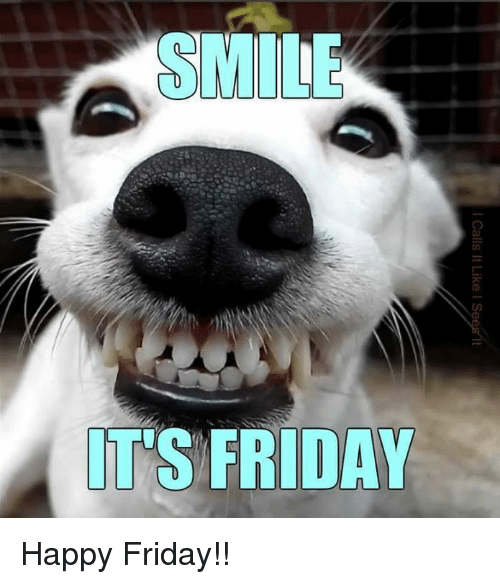 TGIF!!!  #HomeImprovement #roofingcompany #fails #liveroofplay #asphaltlife #toledo_ig #toledome #toledolocal #buylocaltoledo #shoplocaltoledo #toledobuzz #FridayMotivation #TGIF #fridayfun #roofer #dogmeme #dogsoftwitter #teamarnolds