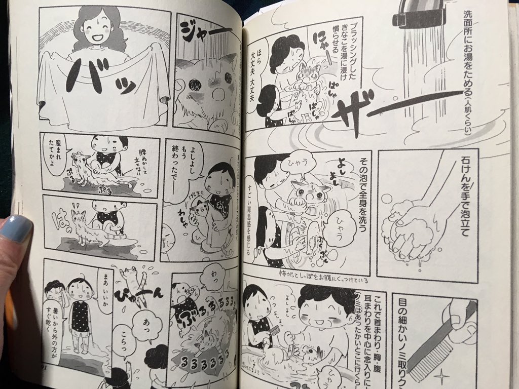 手元になくて悲しいなと思ってたきなこもちが実家にあった!内容自分で忘れてるから今見たら新鮮。 