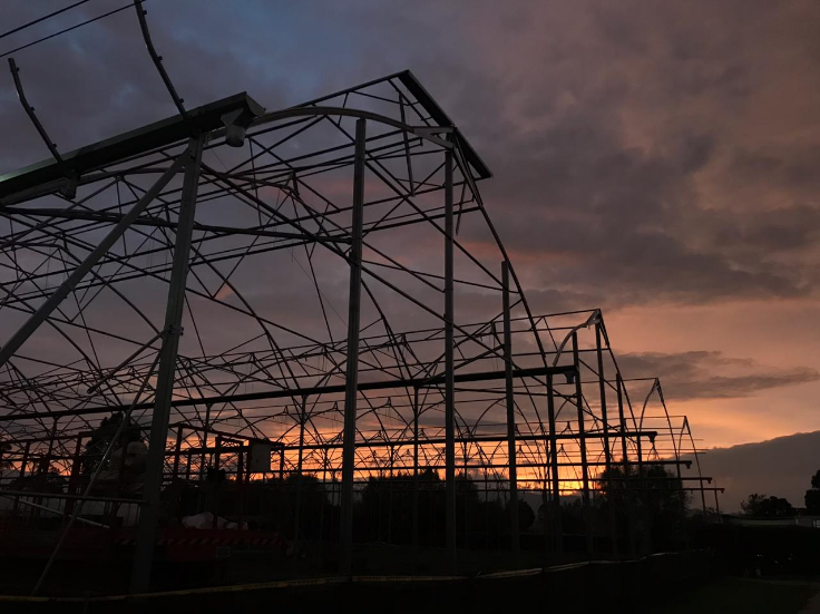 Photo of the sunrise as seen through the structure of what will be Darwin Colombia’s brand new nucleus block and rooting area. #horticulture #perennials
(Photo by Carlos Martinez)