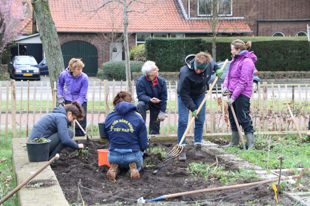 Studenten @HAShogeschool aan het werk bij Buurttuin <a href="/BietjebijBietje/">Bietje bij Bietje</a> 
#versierdestad <a href="/shertogenbosch/">'s-Hertogenbosch</a> #voorelkaar tijdens <a href="/NLdoet/">NLdoet</a>073 @NLdoet