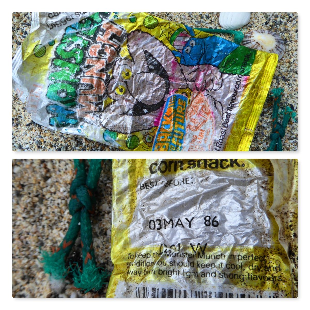 BeachcombingBB tweet media