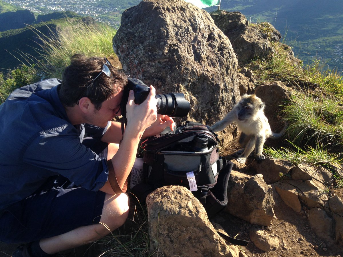 Rory Goulding tweet media