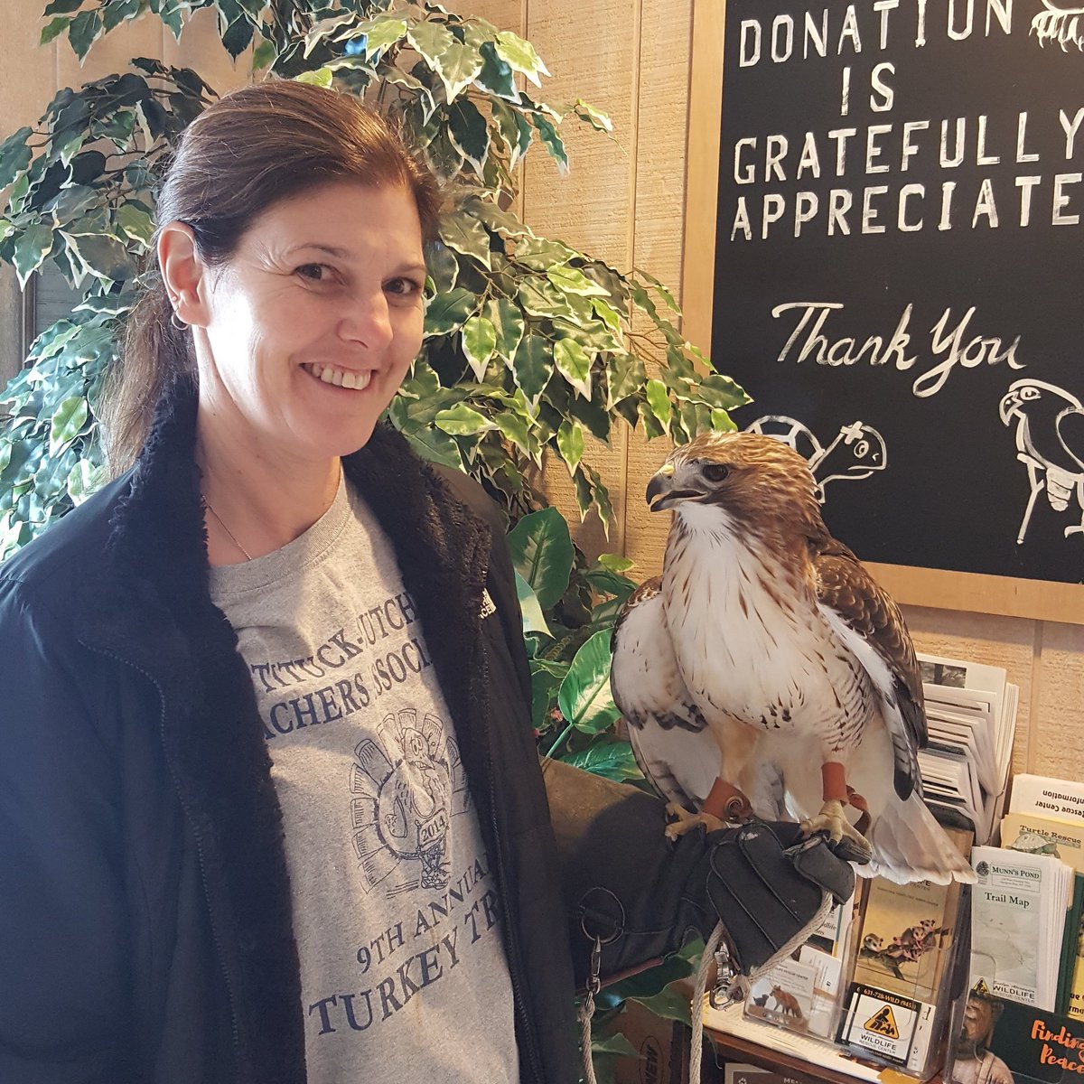 Laura is out for a walk on the wild side with Cloud, a red tailed hawk, a resident here at the Center. You can stop by and visit Cloud and other education birds 7 days a week here at the Center located on Munn's County Park.  Peek inside at our gift shop while you are here!