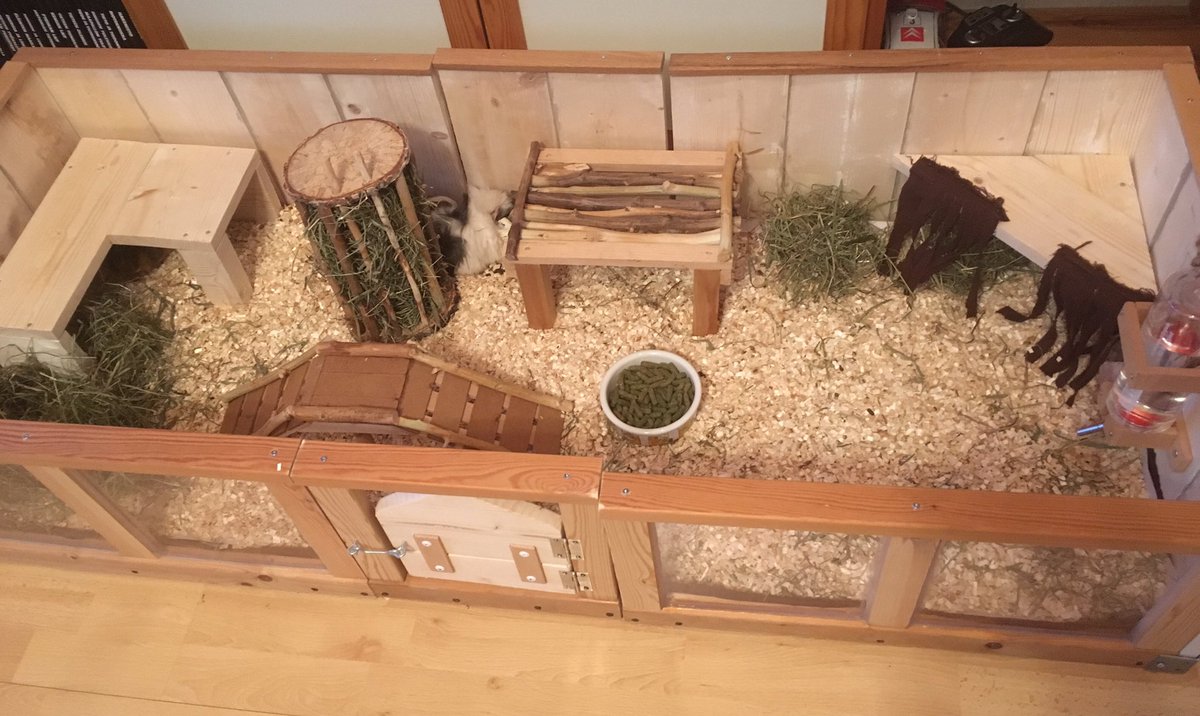 Completed #woodworking project. Guinea pig cage w/ a door, multiple shelters, hay rack, water bottle holder and a bridge. All #diy w/o any instructions. Also included are three 6wk old guinea pigs. ❤️